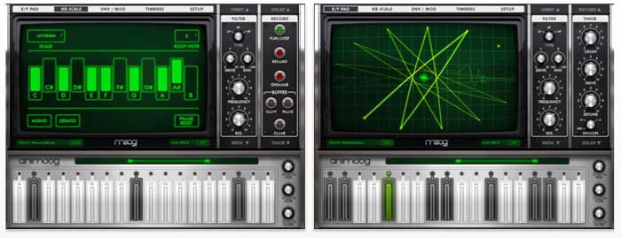 Animoog2