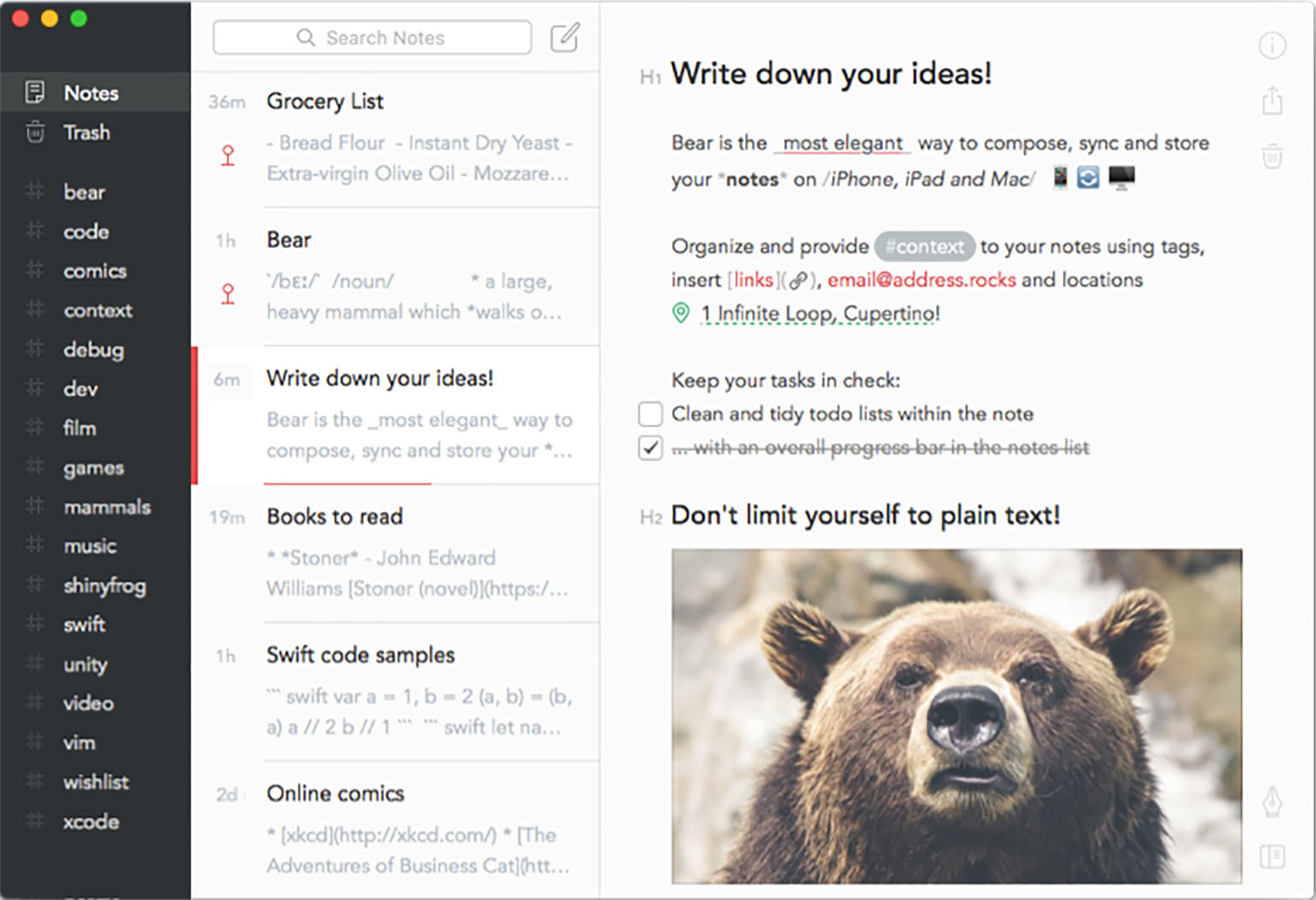 Bear@2x